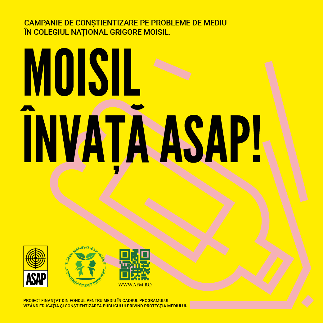 Moisil_Poza patrata homepage